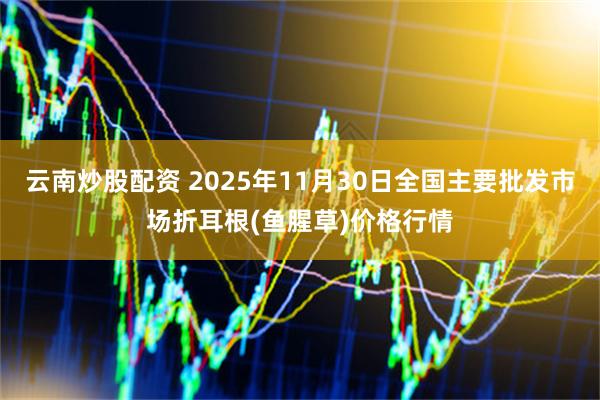 云南炒股配资 2025年11月30日全国主要批发市场折耳根(鱼腥草)价格行情
