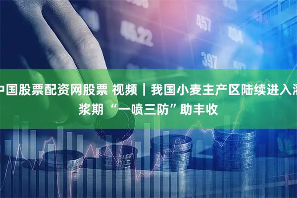 中国股票配资网股票 视频|我国小麦主产区陆续进入灌浆期 “一喷三防”助丰收